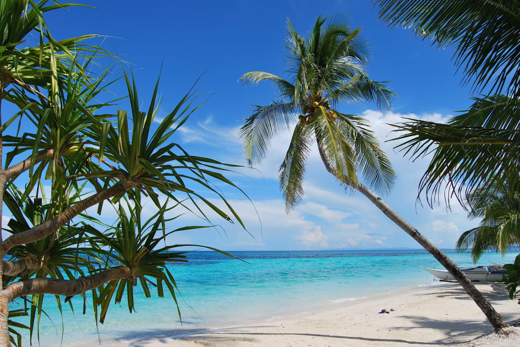 Malapascua Exotic Island Dive & Beach Resort Extérieur photo